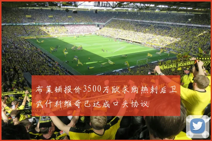 布莱顿报价3500万欧求购热刺后卫武什科维奇已达成口头协议